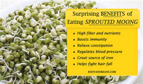 Mung Bean Sprouts Nutrition