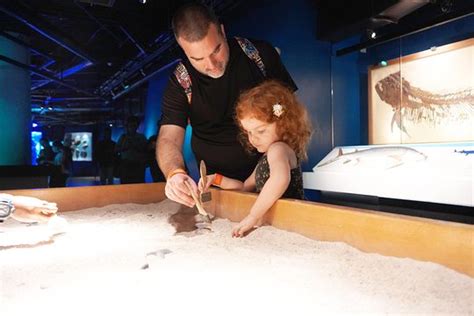 Tripadvisor Phillip And Patricia Frost Museum Of Science Provided By