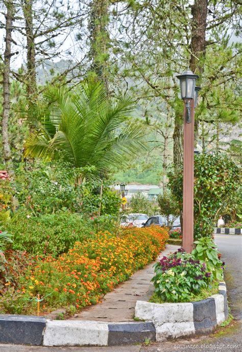 Overall ok, clean, beautiful garden, near to kea farm market. Entree Kibbles: Copthorne Hotel - The Former Equatorial ...