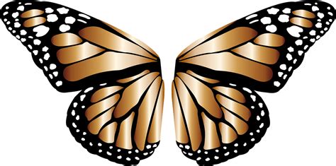 Butterfly Wings Png Download Free Png Images