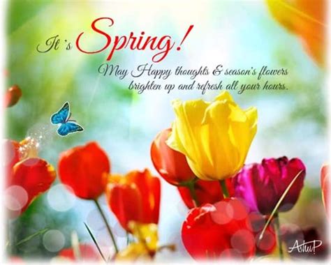 Beautiful Spring Flowers Free Happy Spring Ecards Greeting Cards