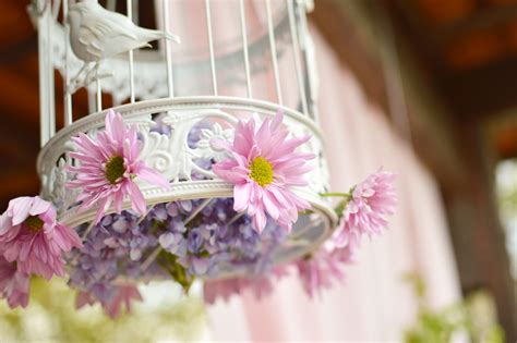 Free Images Plant Petal Decoration Spring Pink Wedding Bride