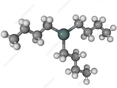 Tributyltin Biocide Molecule Stock Image F0034932 Science Photo