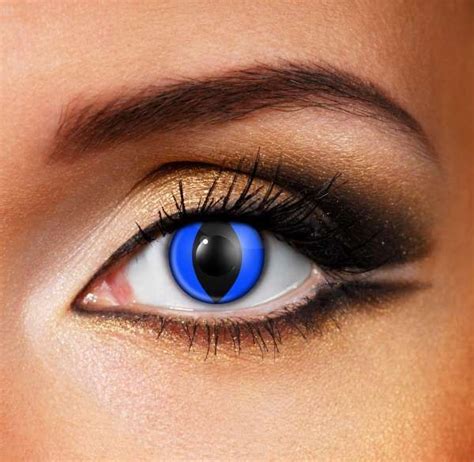 One of our biggest selling lenses in. Blue Cat Contact Lenses (SALE) | Contact lenses colored ...