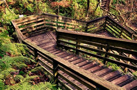 Descend A Staircase Into A Sinkhole At Devils Millhopper In Florida