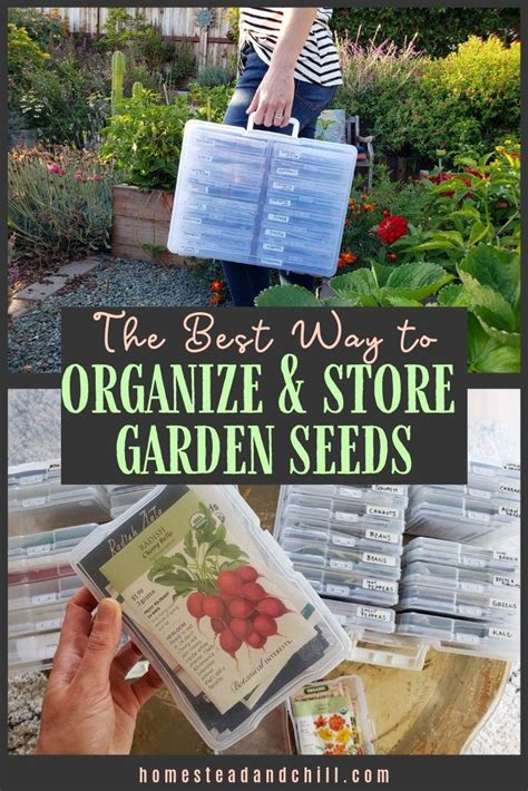 The Best Way To Organize And Store Your Garden Seeds ~ Homestead And