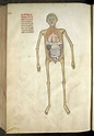Guido da Vigevano's Art of The Cadaver (1345) - Flashbak