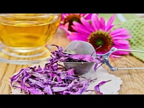 يعرف أيضا باسم الورم الحُبيبي الشحمي لغدة ميبوميوس في العين (meibomian gland lipogranuloma) ،وهو عبارة عن كيس في جفن العين العلوي غالبا، يتكون نتيجة حدوث التهاب مع انسداد الأقنية المفرغة في هذه الغدد. ‫علاج البرد في الجسم بالأعشاب‬‎ - YouTube