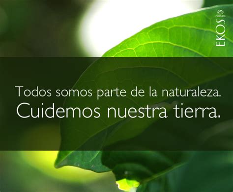 Felíz Día del Medio Ambiente imágenes frases y reflexiones cortas