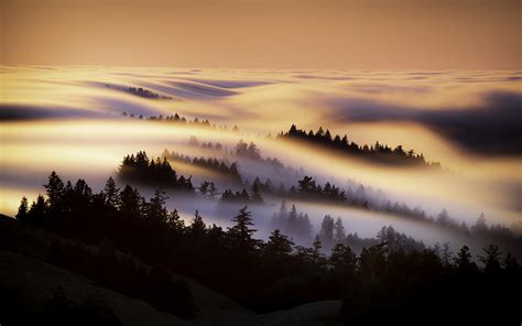 Marin County Mist Morning 4k Wallpaperhd Nature Wallpapers4k