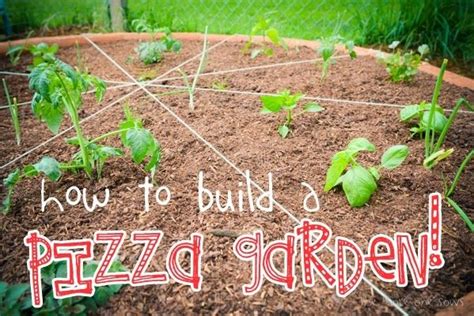 How To Build A Pizza Garden Garden Sowing Outdoor Fun