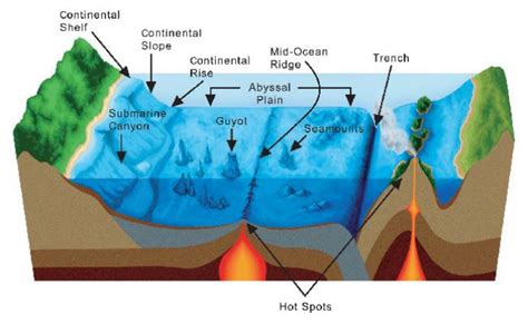 Trench Definition Earth Science The Earth Images Revimageorg