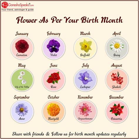Birth Month Flower Birth Month Flowers February Birth Flowers Birth