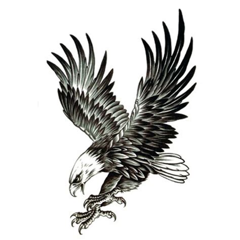 Image Result For Hawk Design Eagle Tattoos Eagle Tattoo Temp Tattoo