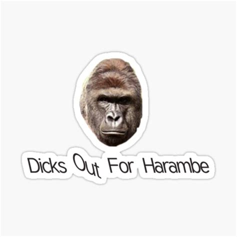 Dicks Out For Harambe Sticker For Sale By Skythesofa Redbubble