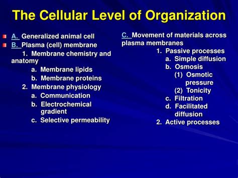 Ppt The Cellular Level Of Organization Powerpoint Presentation Free