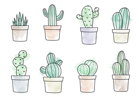 Cactus Drawing Outline At Explore Collection Of