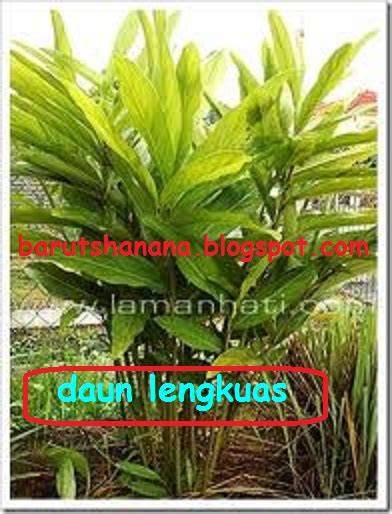 Contact mandian herba lepas bersalin on messenger. .: Mandian Herba Ibu