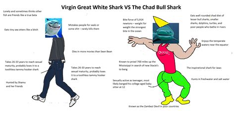 Virgin Great White Vs Chad Bull Shark Rvirginvschad