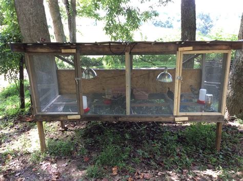 Quail are game birds, and can be relatively similar to chickens. Quail Pens/Housing | Page 10 | BackYard Chickens - Learn ...