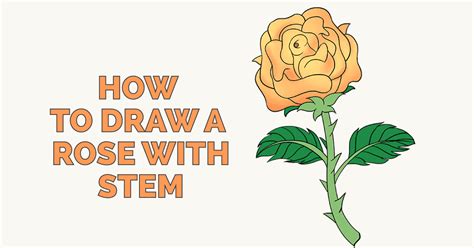 This shape helps to plan the layout of the page. How to Draw a Rose in a Few Easy Steps | Flower drawing ...