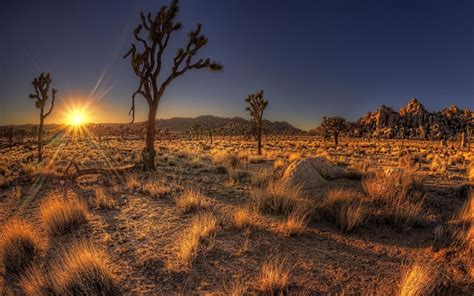 Arizona Desert Sunset Wallpapers Top Free Arizona Desert Sunset
