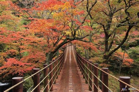 The Hananuki Gorge In Ibaraki Showcases A Kaleidescope Of Autumn