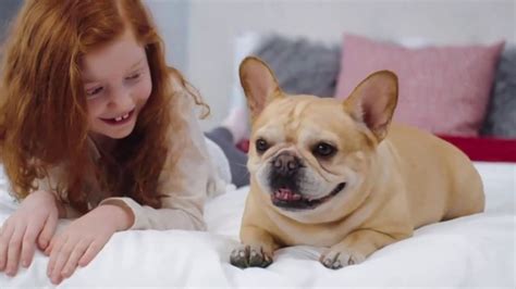 Free delivery and returns on ebay plus items for plus members. Mattress Firm Semi-Annual Sale TV Commercial, 'Sleepy's ...