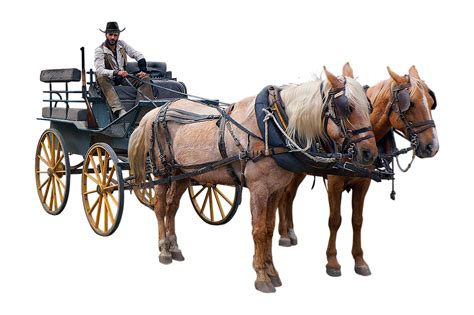200 Free Horse Wagon And Wagon Images Pixabay