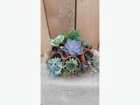 Succulent Garden Workshop Central Saanich Victoria