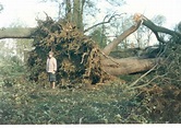 Photos of The Great Storm of 1987 as the Storm Ciara and Storm Dennis ...
