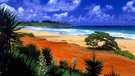 Desktop Wallpaper Beautiful Hawaiian Scenes Wallpapersafari