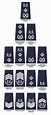 Police Rank Structure