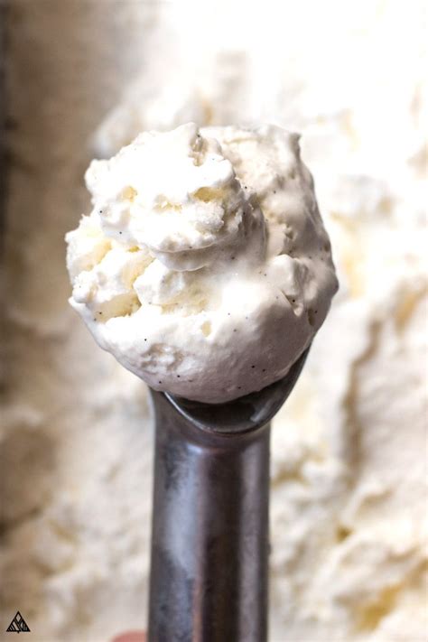 · easy homemade cookie dough ice cream that's packed with mini chocolate chips and cookie dough! Recipe For Low Fat Homemade Ice Cream In An Ice Cream ...