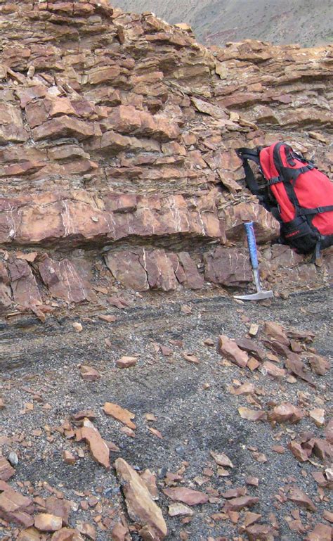 Permian Triassic Extinction Event Attributed To Cold Snap The