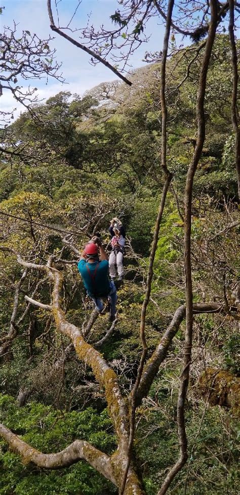 The monteverde cloud forest reserve will astound visitors with its beauty. The Original Canopy Tour (Monteverde) - Aktuelle 2019 ...