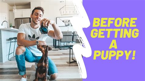 5 Things To Consider Before Getting A Puppy Youtube
