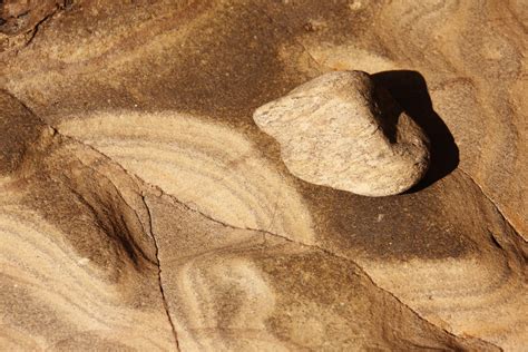 Free Images Nature Sand Rock Wood Texture Sandstone