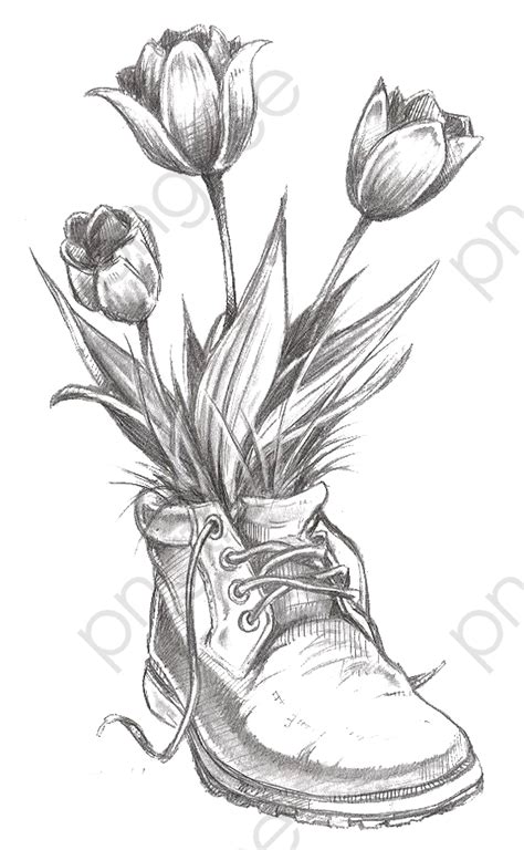 Tulip Png Images Tulip Clipart Hand Painted Tulip Flowers Png