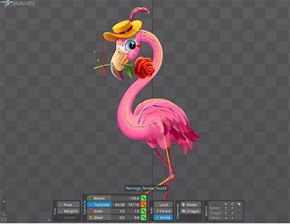 Zoo Flamingo Animation Behance Character