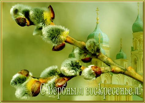 Вербное воскресенье — это народное название праздника вход господень в иерусалим. Смс поздравления с вербным воскресеньем - лучшие ...
