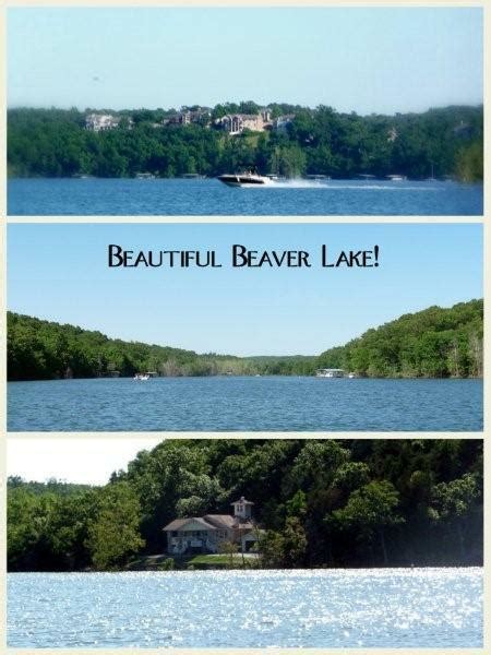 All About Beaver Lake In Arkansas