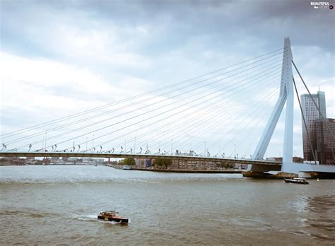 Erasmus Bridge Netherlands River Rotterdam Beautiful Views