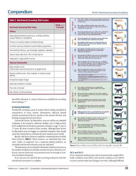 Teng kt, mcgreevy pd, toribio j, raubenheimer d, kendall k, dhand nk. Pv0811 wsava nutrition assessment guideline_10-8-2011