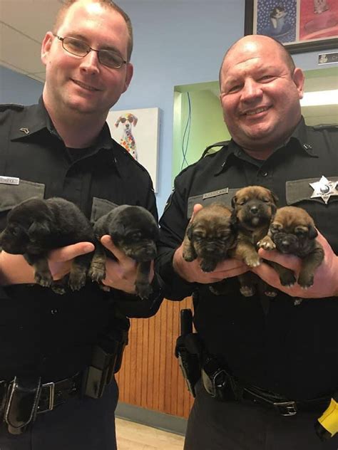 Puppies Found Abandoned Along Us 119