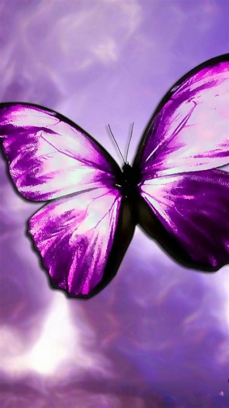 Purple Butterfly Mobile Wallpaper Hd 2020 Cute Wallpapers