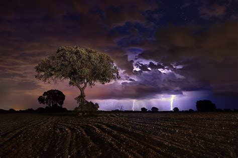 Dark Landscape Field Night Storm Sky Trees Lightning Hd