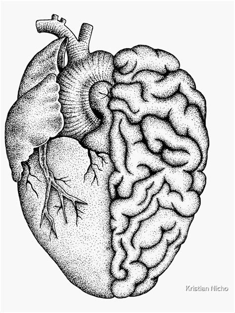 Heart And Brain Sticker By Kristian Nicho Line Art Drawings Anatomy Art Dark Art Drawings