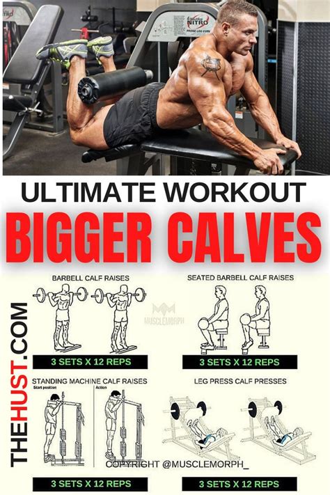 Best Exercises To Get Bigger Calves In Leg Workouts For Men