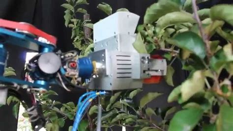 One of the main advantages of robots, regardless of the industry, is that the owners do not need to pay for labor. Development of the CROPS agricultural robots - YouTube